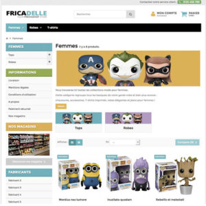 Site e-commerce dropshipping clé en main sans avoir de stock