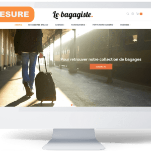 Site-e-commerce-dropshipping-bagages-maroquinerie