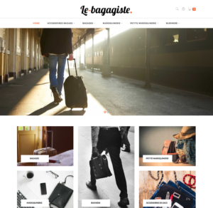 e-commerce dropshipping maroquinerie et bagagerie