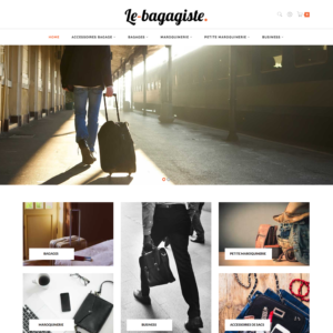 e-commerce dropshipping maroquinerie et bagagerie