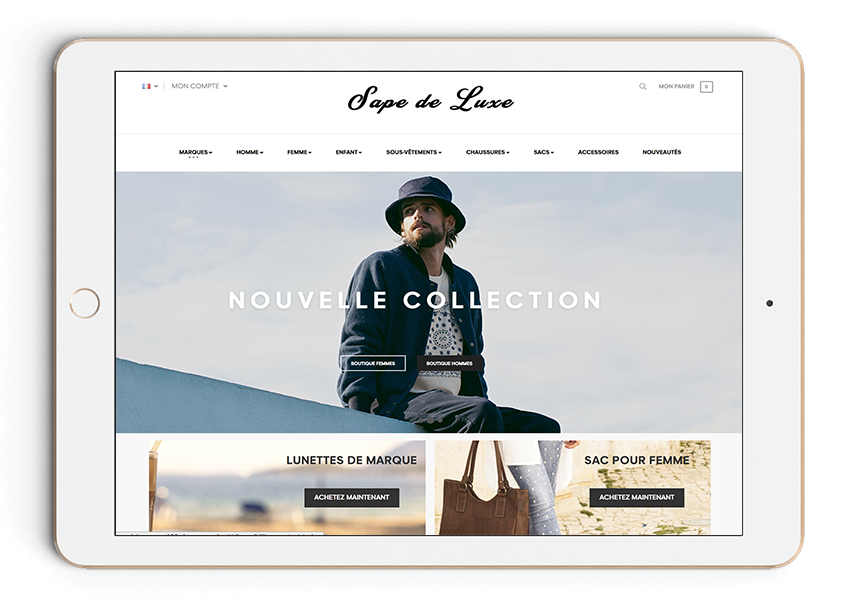 dropshipping-professionnel